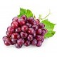 Виноград от питомника в Салавате